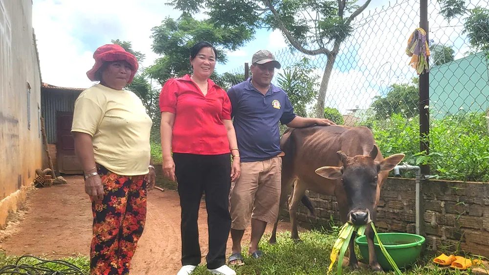Dự án “Ngân hàng bò” đã hỗ trợ cho anh Y Kă (phường Thắng Lợi, TP Pleiku, tỉnh Gia Lai) một con bò cái để anh có cơ hội phát triển kinh tế 