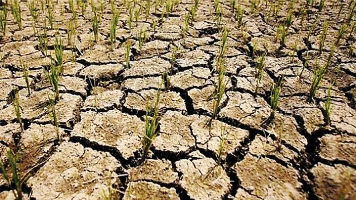 Dự báo El Nino kéo dài, nhiều vùng sản xuất đối mặt nguy cơ hạn hán nặng