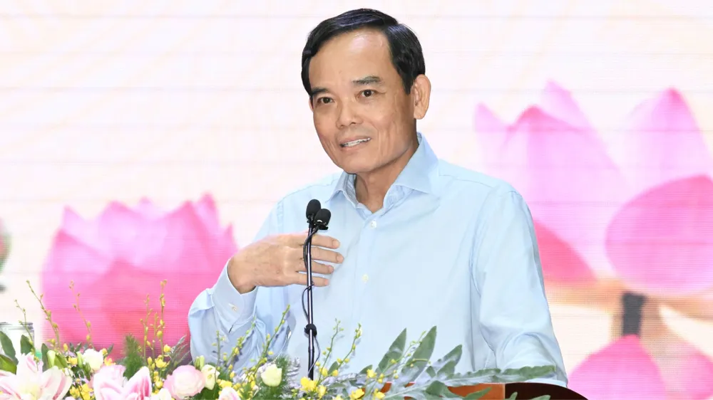 Bí thư Thành ủy TPHCM Trần Lưu Quang: Việc sắp xếp mạng lưới trường học phải thực hiện thận trọng, phù hợp điều kiện từng địa bàn