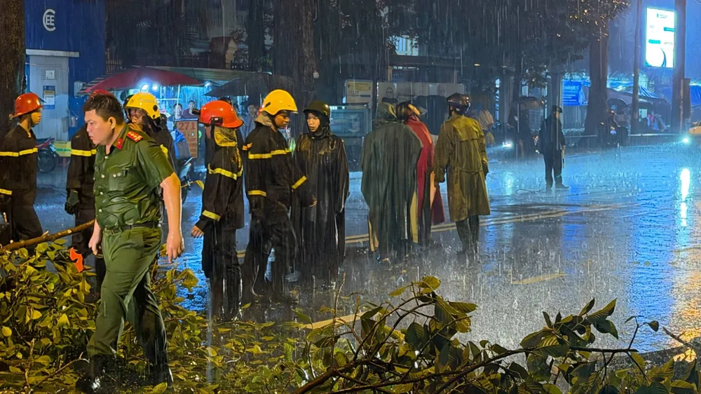 Cây gãy rơi trúng xe máy ở đường An Dương Vương, một người tử vong