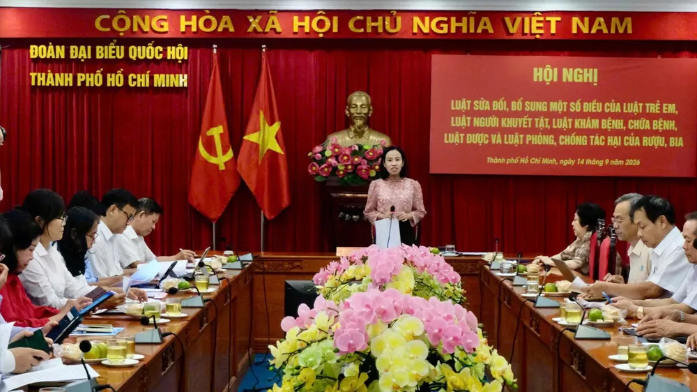 Góp ý hoàn thiện luật, tăng cường bảo vệ trẻ em, người khuyết tật