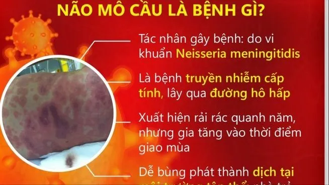 Cà Mau ghi nhận 2 ca tử vong do não mô cầu, khẩn trương ứng phó