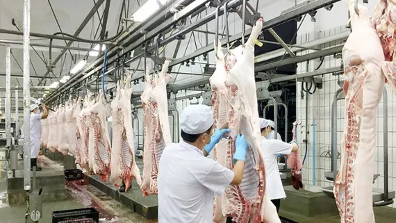 Không điều chỉnh giá thịt heo bình ổn thị trường