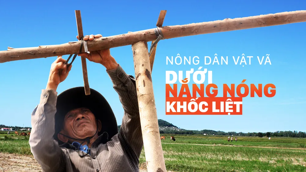 Nông dân vật vã dưới nắng nóng khốc liệt