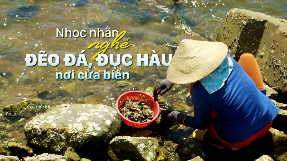 Nhọc nhằn nghề đẽo đá, đục hàu nơi cửa biển 