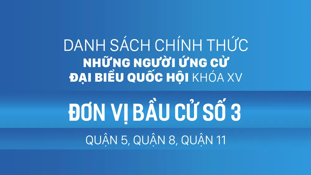 Đơn vị bầu cử số 3 (quận 5, quận 8, quận 11)
