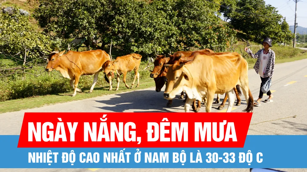 Nam bộ ngày nắng, đêm mưa