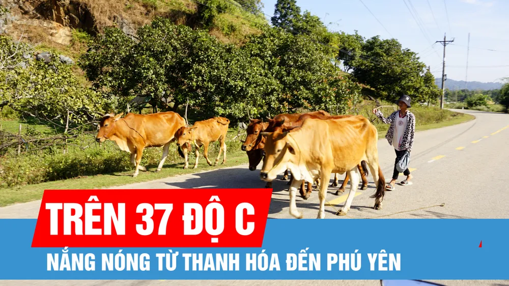 Nhiều khu vực có mưa lớn, nắng nóng từ Thanh Hóa đến Phú Yên