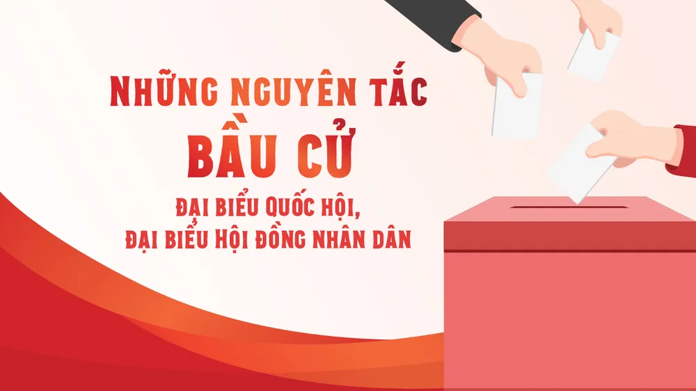 Những nguyên tắc bầu cử đại biểu Quốc hội, đại biểu HĐND