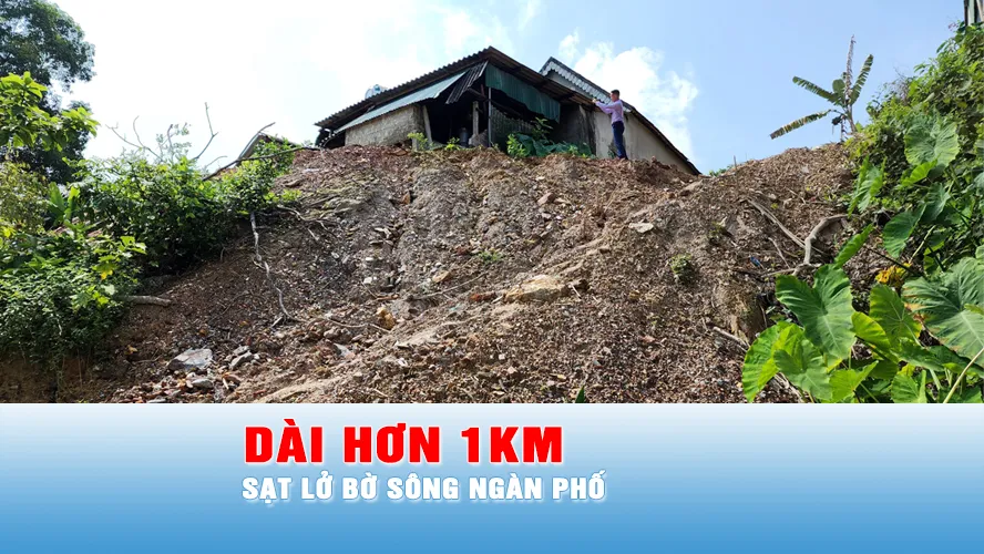 Podcast tin trưa 14-5: Sạt lở bờ sông Ngàn Phố kéo dài hơn 1km, uy hiếp nhà dân