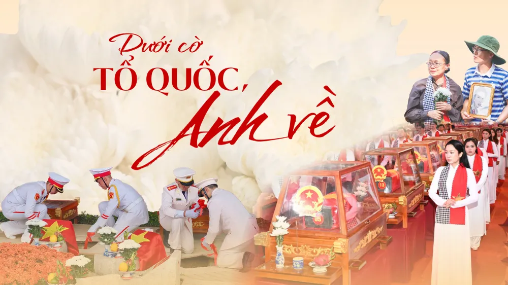 Dưới cờ Tổ quốc, Anh về