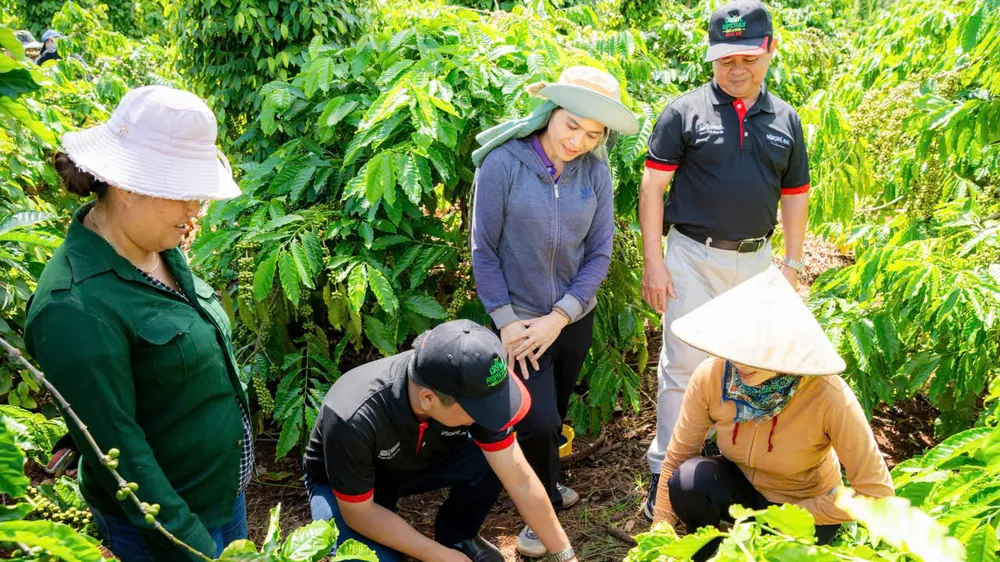 Sản phẩm xanh ngày càng hấp dẫn người tiêu dùng