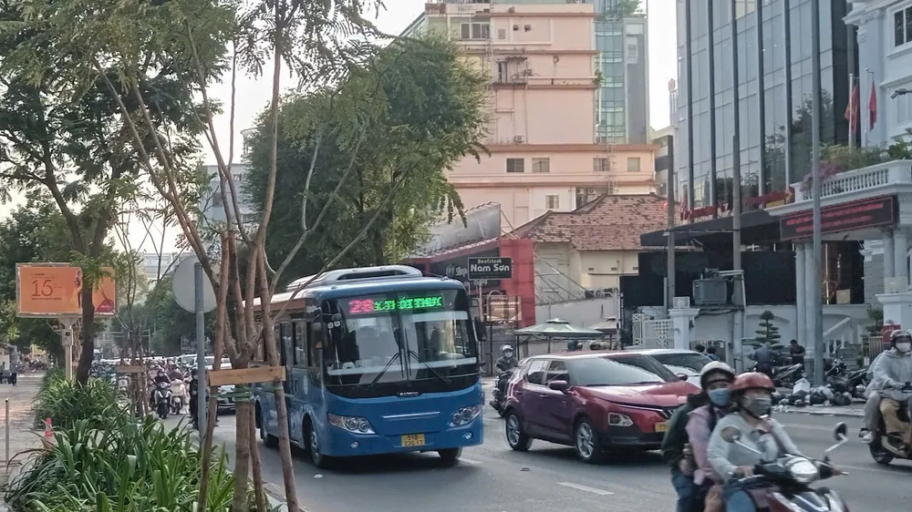 Trồng mới 9 cây lim xẹt trên đường Nguyễn Thị Minh Khai