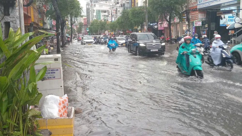 TPHCM chủ động ứng phó triều cường, mưa lớn