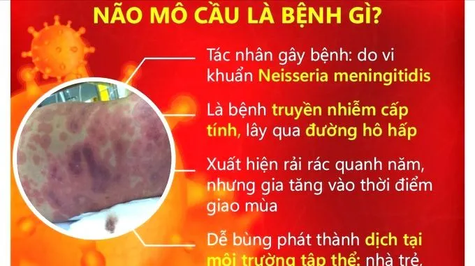 Cà Mau ghi nhận 2 ca mắc viêm não mô cầu, 1 người tử vong