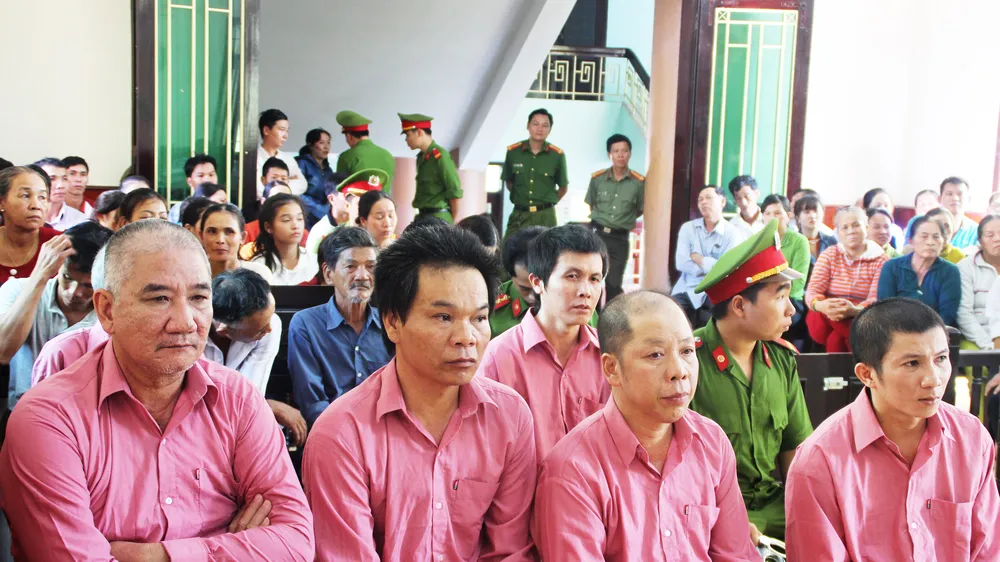 Phiên xét xử thứ 2 "đại án" phá rừng Bình Định: Trả hồ sơ yêu cầu cơ quan điều tra bổ sung
