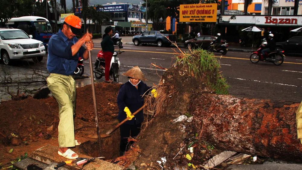 Dọn hàng ngàn tấn rác thải, khôi phục 2.000 cây xanh bị bão quật ngã