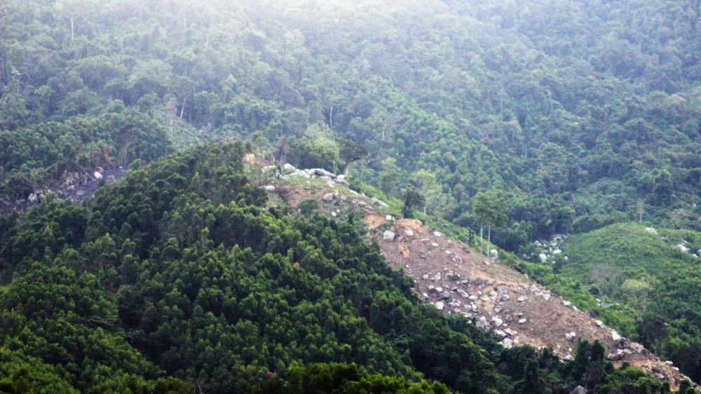 60,9ha rừng bị phá ở An Lão sẽ giao lại cho Bộ Chỉ huy Quân sự quản lý