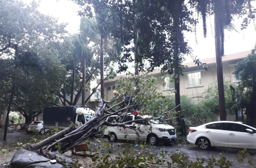 Những thiệt hại ban đầu của cơn bão số 12
