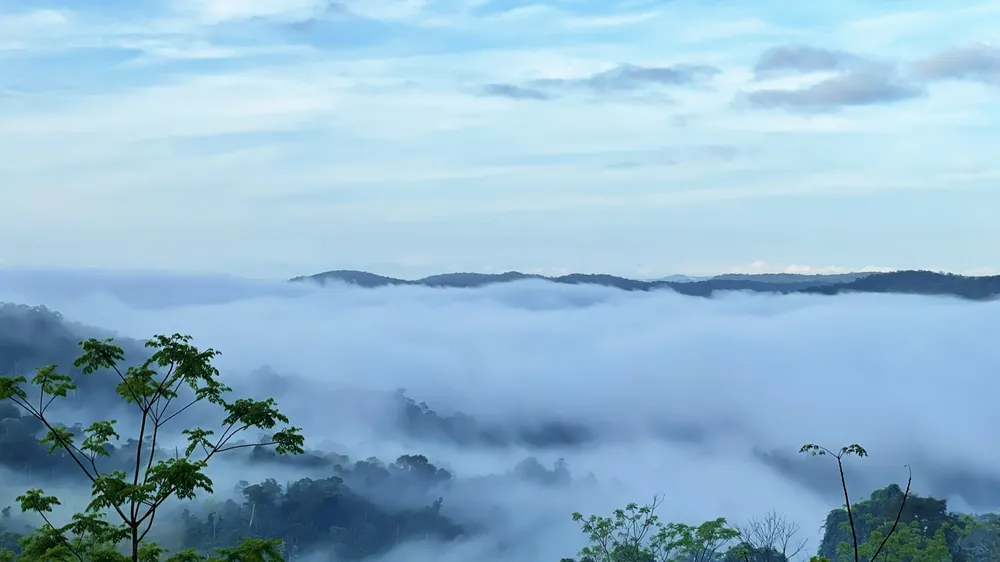 Chủ tịch UBND tỉnh Bình Định chỉ đạo kiểm tra, xử lý thông tin “chặt chém” du khách ở Cổng Trời