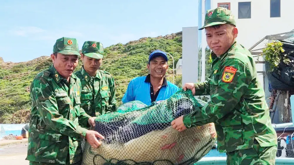 Gia Lai sẵn sàng sơ tán hàng trăm ngàn dân trước bão số 13