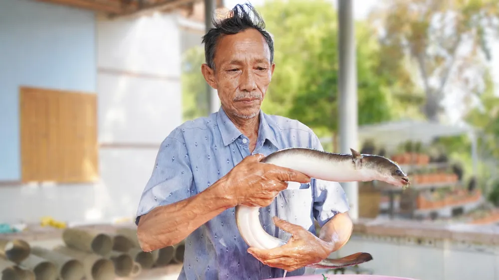 Gầy dựng cơ nghiệp tiền tỷ nhờ nuôi cá chình bằng vi sinh