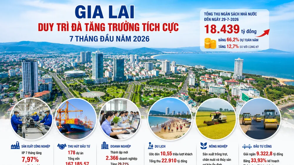 Gia Lai thu ngân sách trong 7 tháng đạt hơn 18.400 tỷ đồng