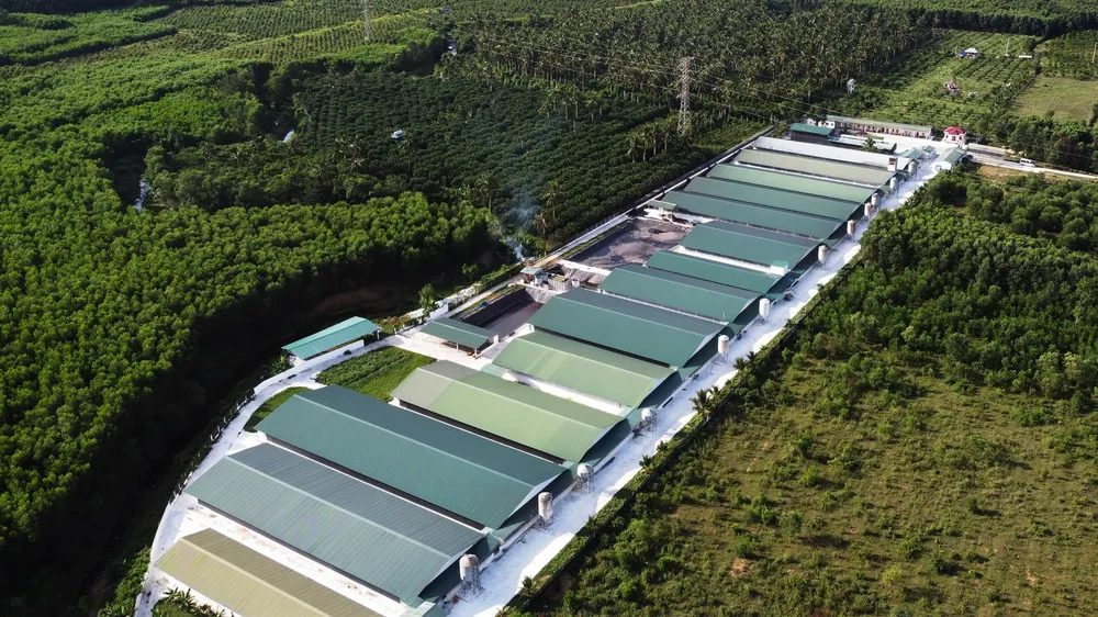 Gia Lai: Phát triển tổ hợp chăn nuôi công nghệ cao quy mô lớn 