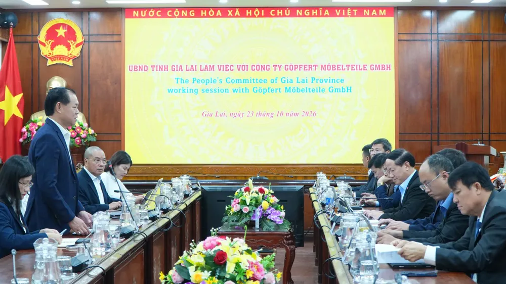 Xúc tiến dự án nhà máy gỗ công nghiệp Việt – Đức ở Gia Lai