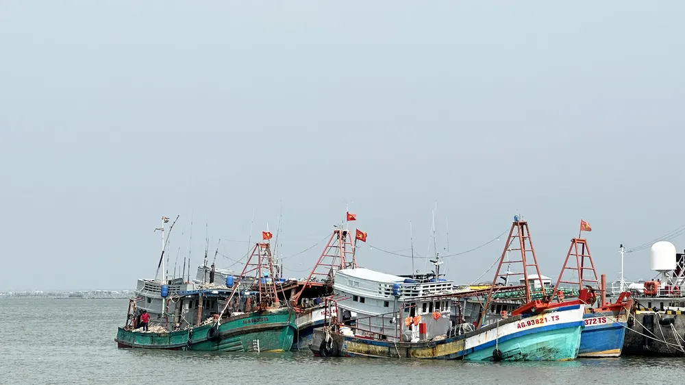 Kịp thời ngăn chặn 3 tàu cá có nguy cơ vượt ranh giới sang vùng biển nước ngoài