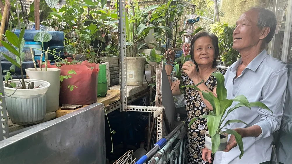 Chuyện tình già của một thương binh