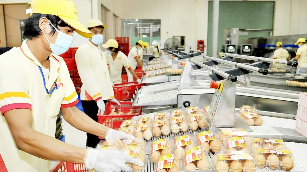 Những hành động trọng tâm để phát triển kinh tế tư nhân