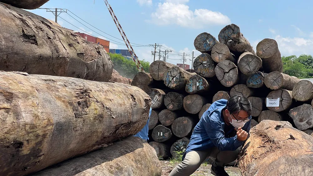 Ngành xuất khẩu gỗ: Xoay xở trong “thương chiến”