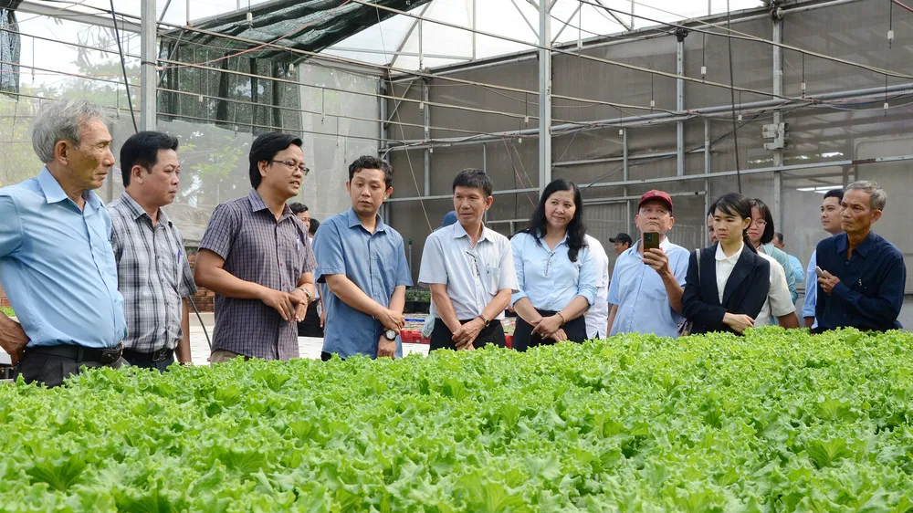 Người dân TPHCM làm giàu từ nông nghiệp