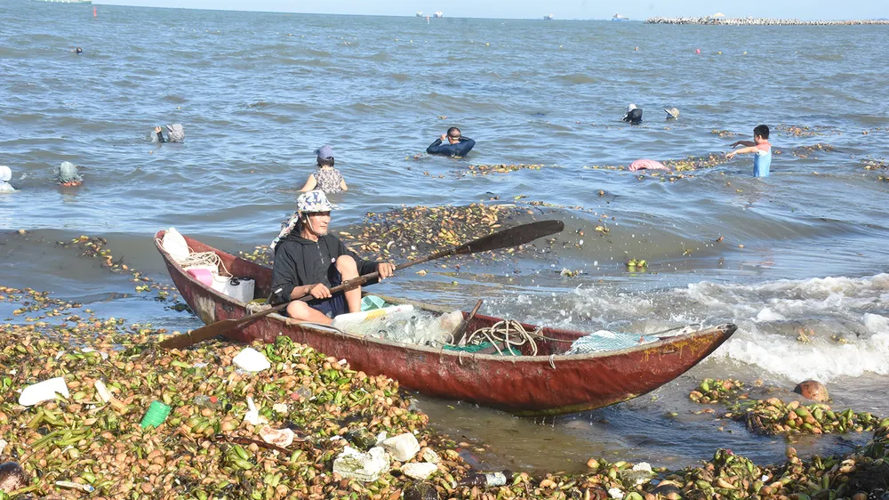 Du lịch biển Bà Rịa - Vũng Tàu: Căng thẳng vì rác xâm chiếm bờ cát
