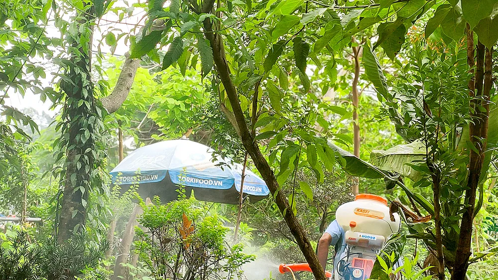 Thách thức kiểm soát và phòng ngừa sốt xuất huyết