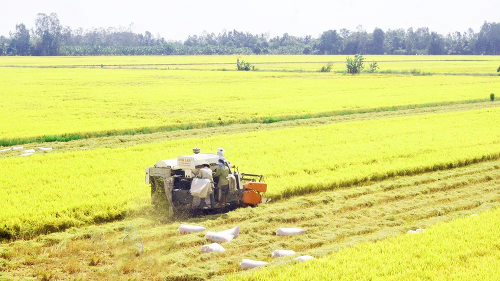 11 tháng, xuất khẩu nông nghiệp đạt hơn 64 tỷ USD