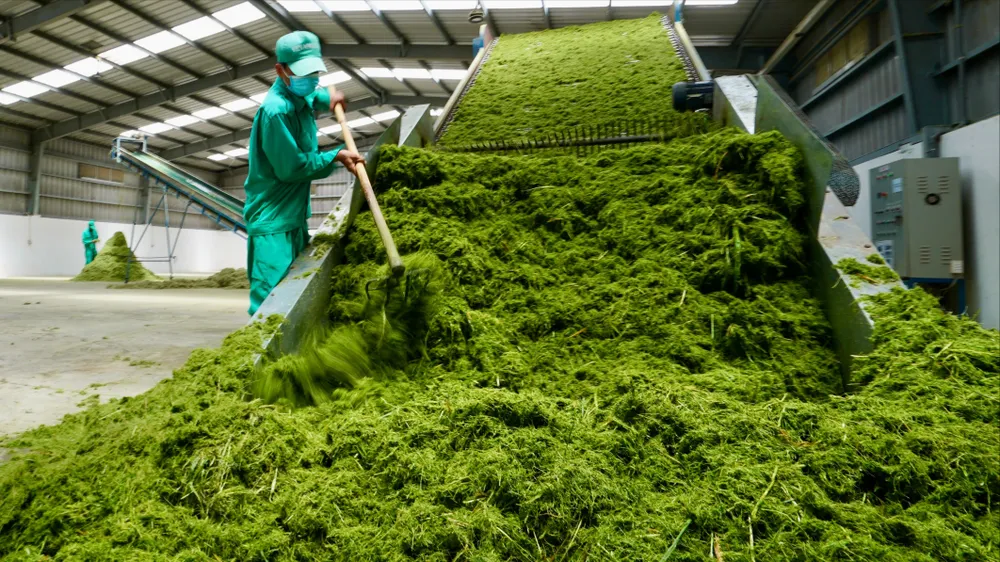 Hôm nay 22-12, tôn vinh Doanh nghiệp Xanh TPHCM năm 2025