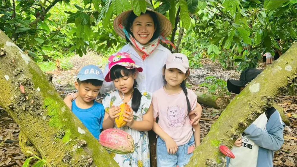 Cây ca cao hồi sinh trên vùng đất đỏ
