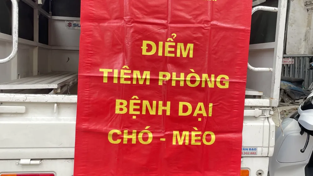 54 người tử vong do bệnh dại, cảnh báo nguy cơ từ chó mèo