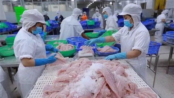Giá xuất khẩu cá tra giảm