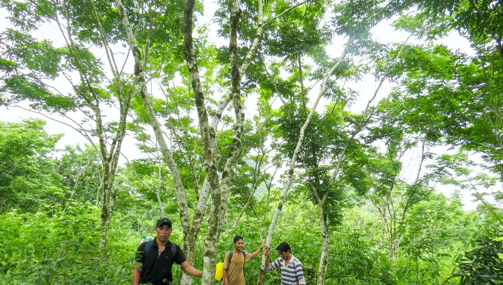 Podcast: Tộc người sống xanh
