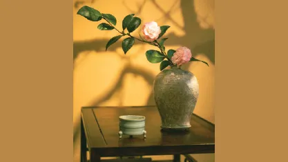 Trái tim người mẹ