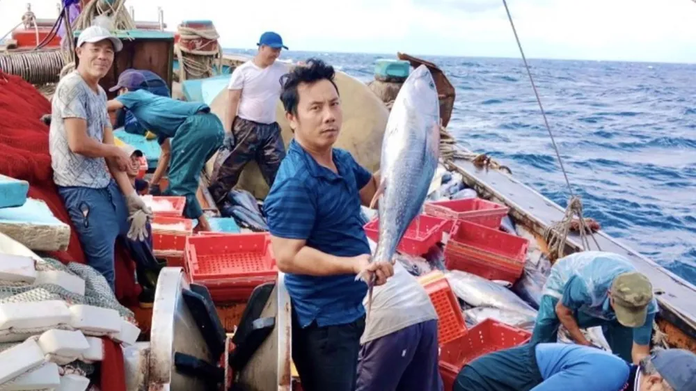 Ngư dân miền Trung vươn mình ra biển lớn - Bài 2: “Mở biển” vươn khơi xa