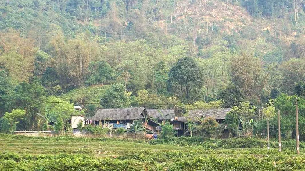 Những nhớ nhung ngày cũ