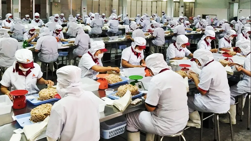 Hướng tới xuất khẩu đạt mốc 1.000 tỷ USD - Bài 1: Năm 2024 - Thành quả ấn tượng