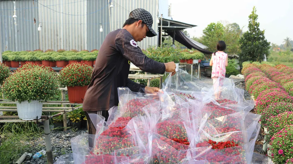 Một số địa phương miền Trung, miền Tây: Thời tiết thất thường, nông dân thất thần