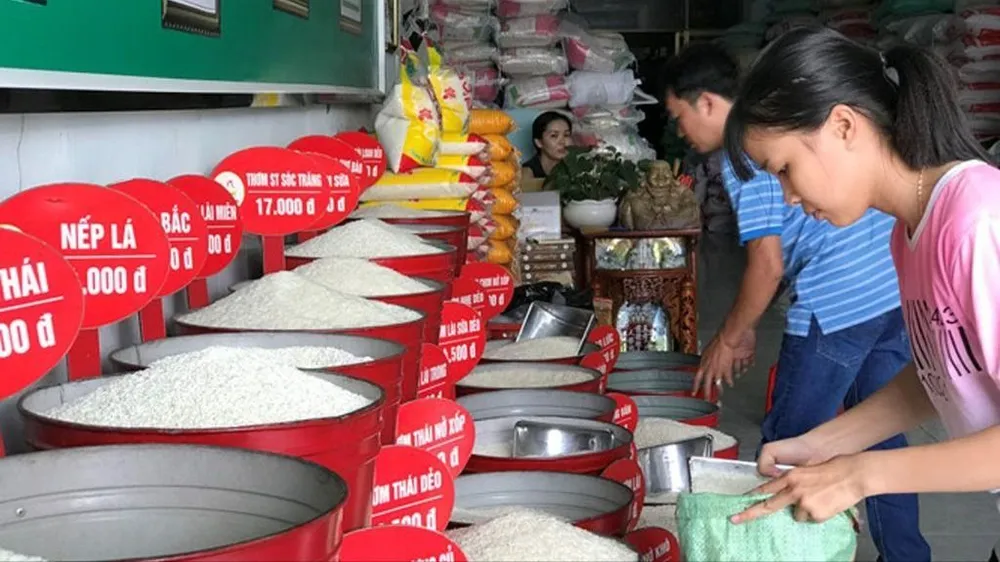 Giá gạo xuất khẩu Việt Nam thấp nhất thế giới, giá trong nước vẫn cao