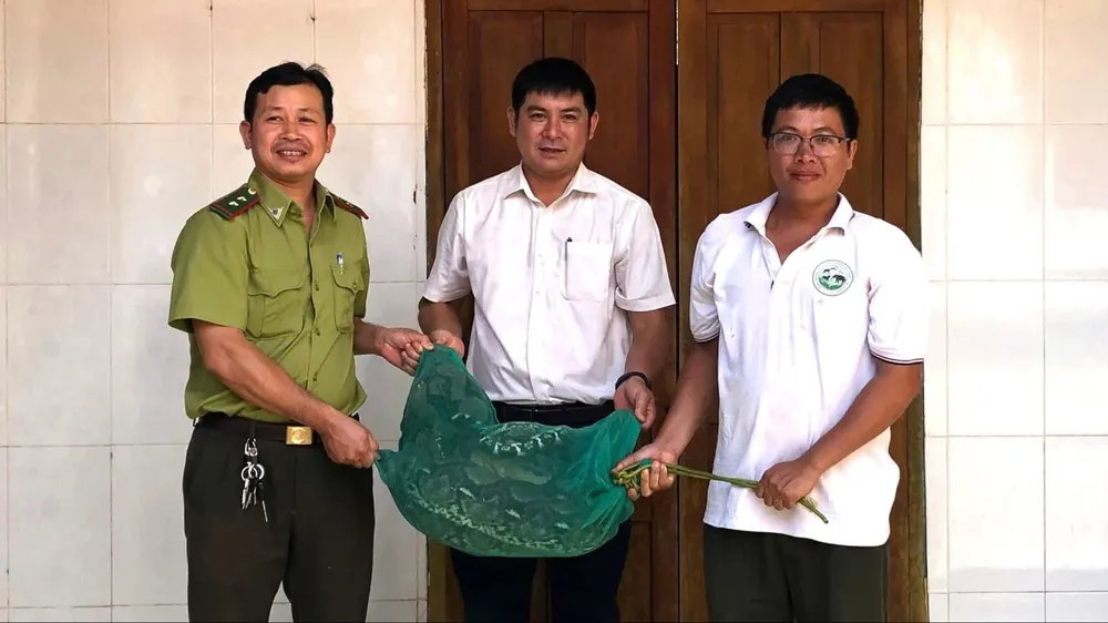 Phát hiện trăn quý hiếm nặng 21kg bò vào nhà dân