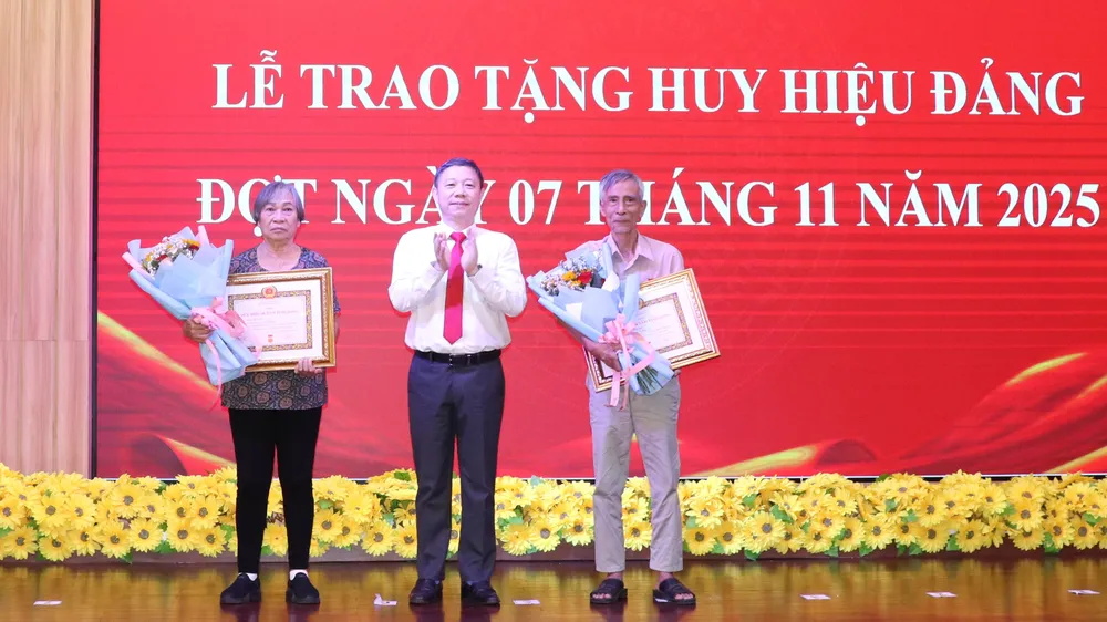 Phường Chánh Hưng trao Huy hiệu Đảng đợt ngày 7-11